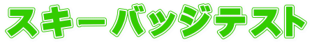 スキーバッジテスト